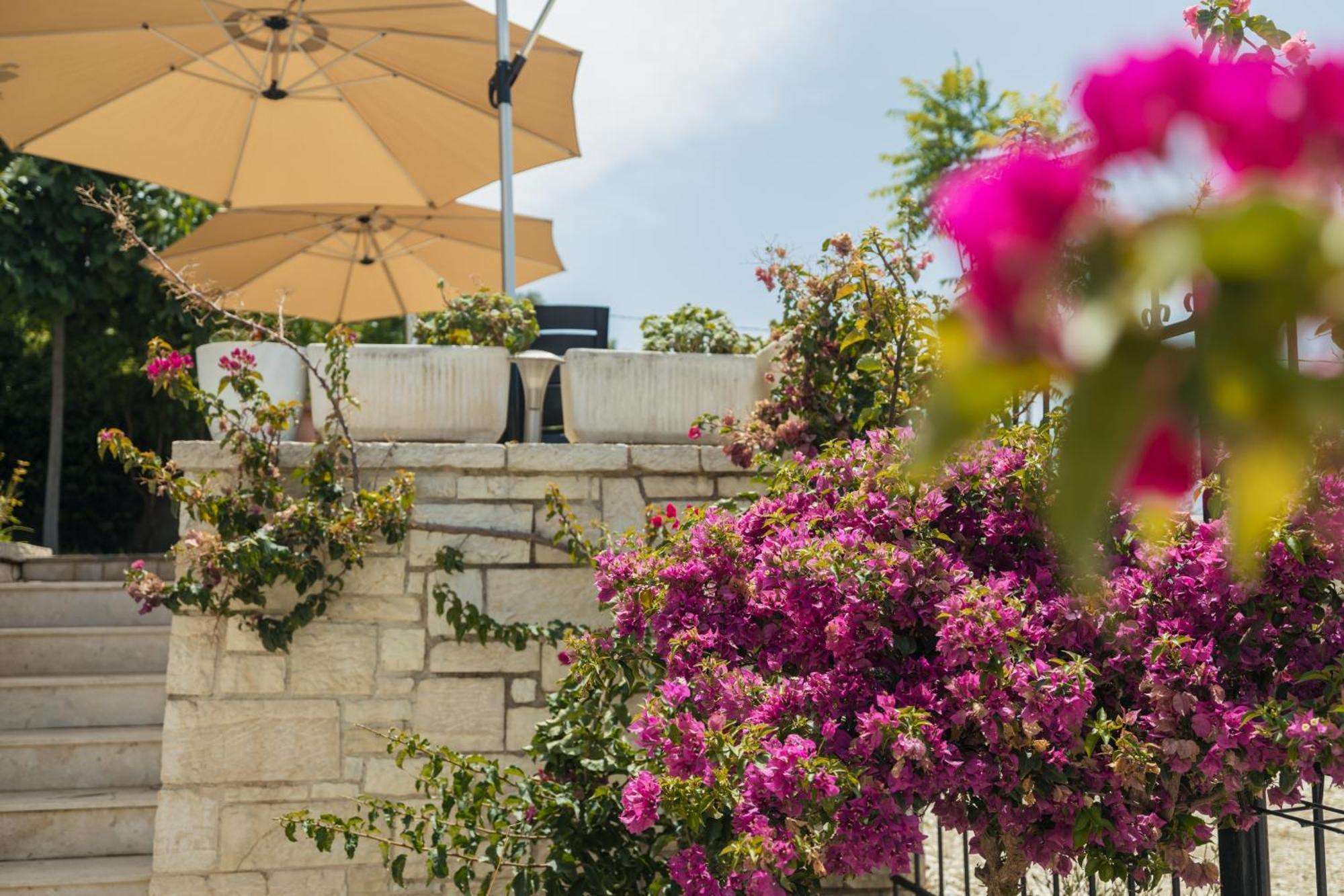 Voyage Villa Vlorë Exteriör bild
